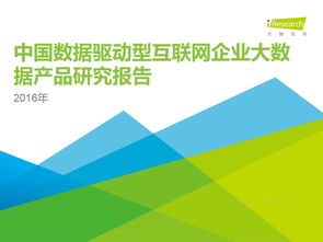 2016年中國數據驅動型互聯網企業大數據產品研究報告